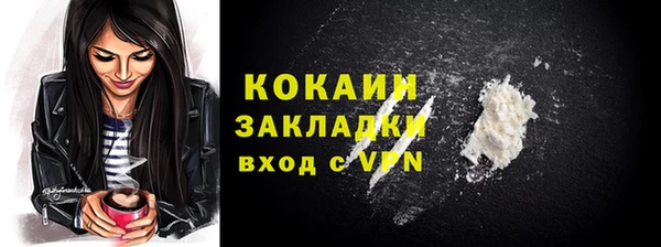 индика Армянск