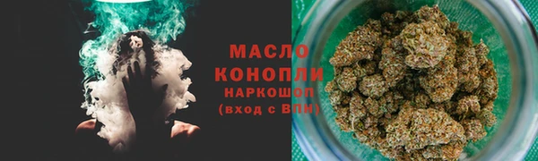 индика Армянск