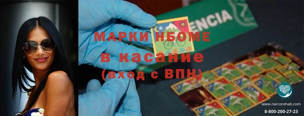индика Армянск