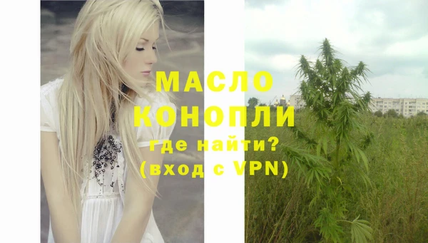 индика Армянск